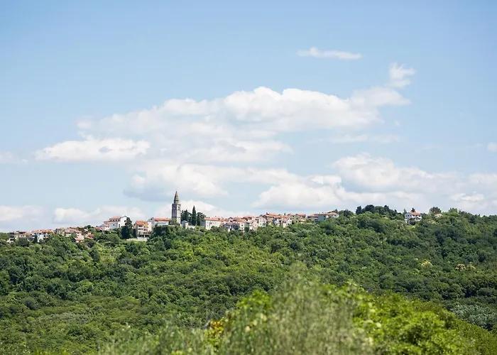 Apartament Miko *